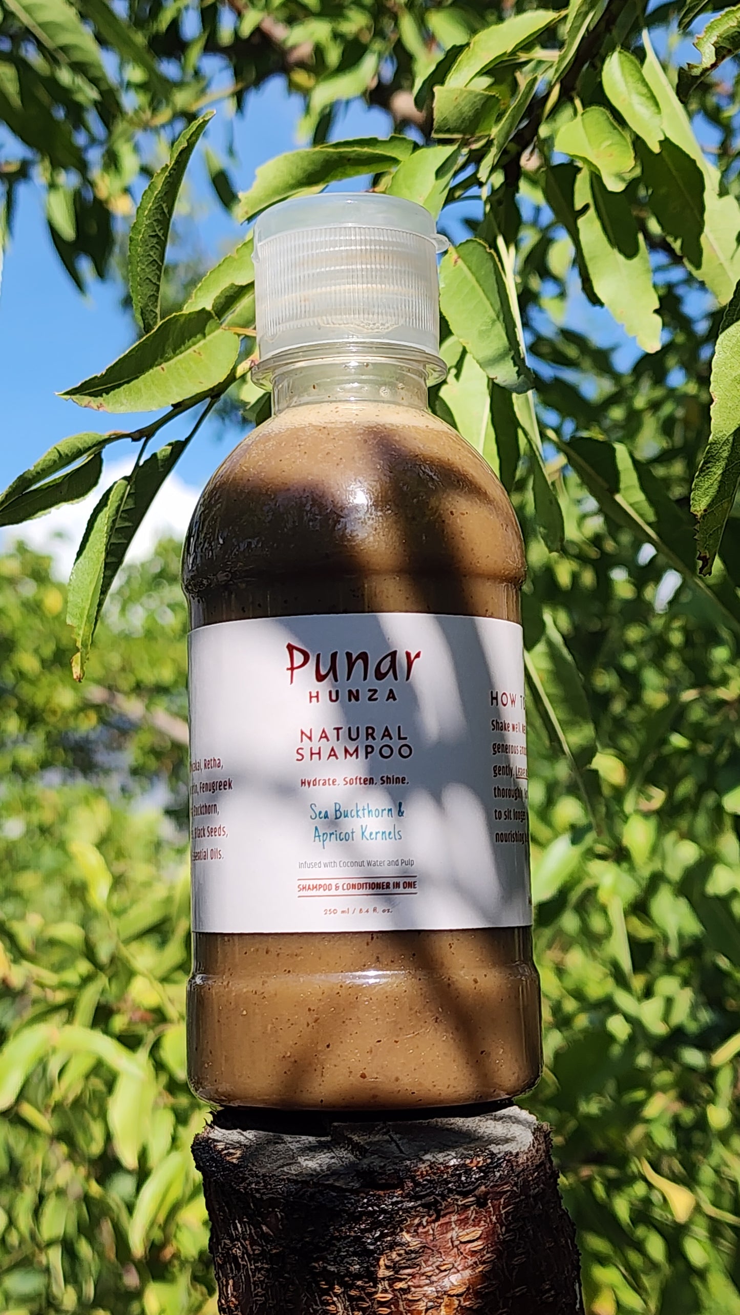 Punar Hunza Natural Shampoo (with Sea Buckthorn & Apricot Kernel)