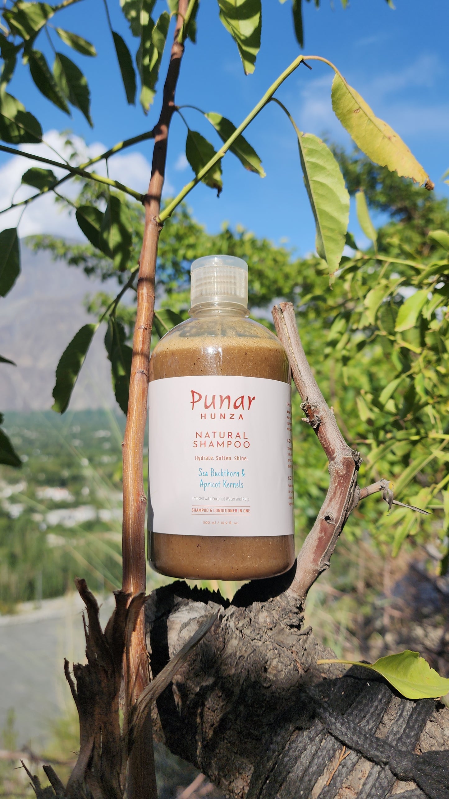 Punar Hunza Natural Shampoo (with Sea Buckthorn & Apricot Kernel)