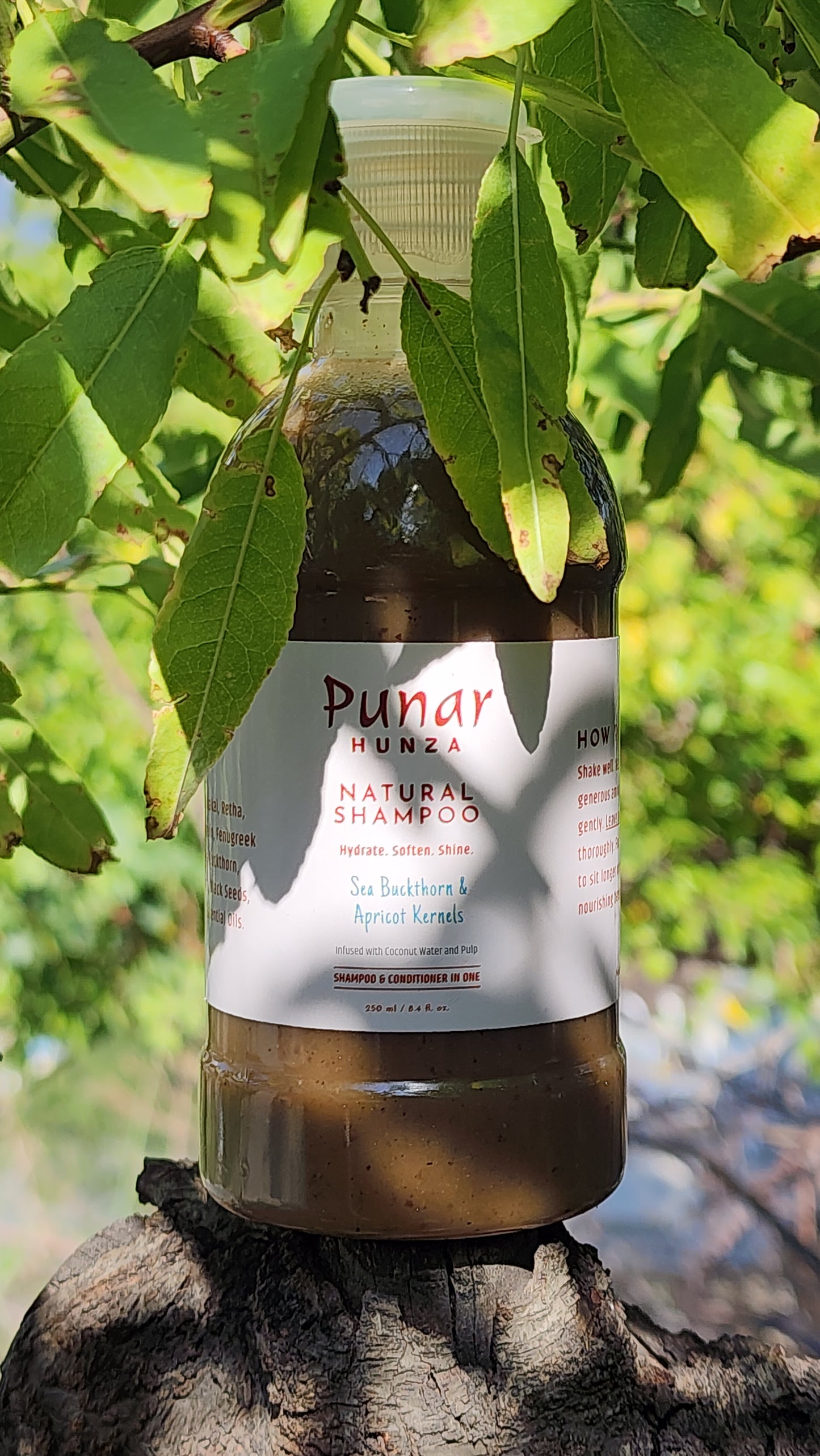Punar Hunza Natural Shampoo (with Sea Buckthorn & Apricot Kernel)
