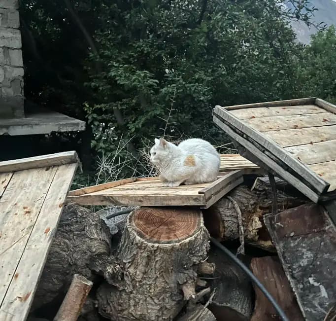 Our Story - Grandmother's Secrets