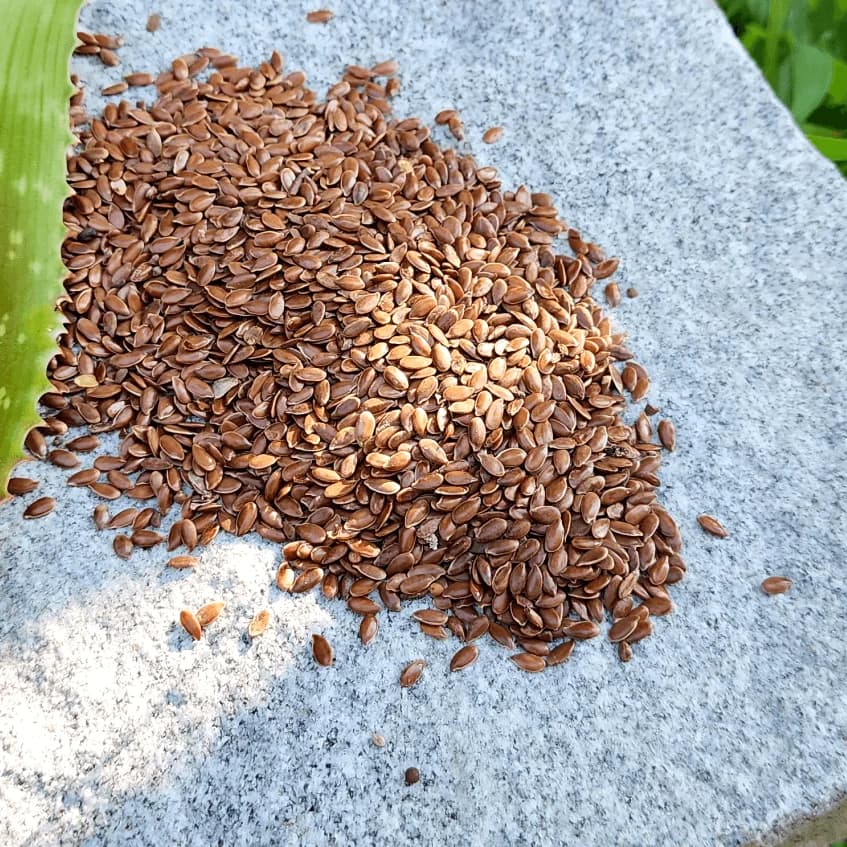 Flax Seeds