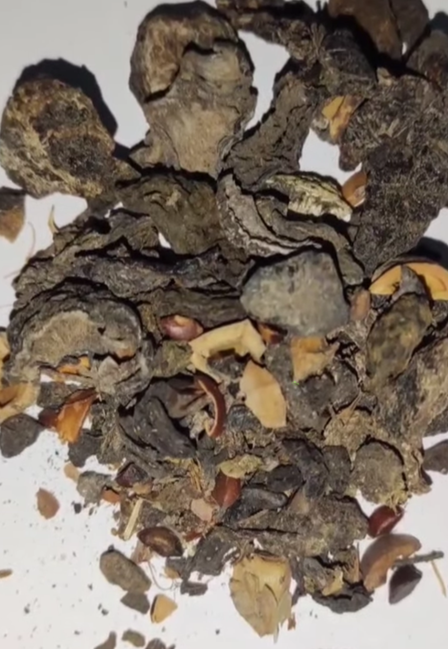 Handmade Natural Shampoo - for Hair Fall, Growth & Shine